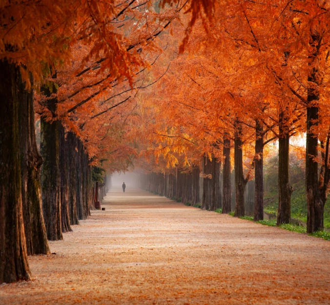 Gadgets for winter, summer, autumn and spring