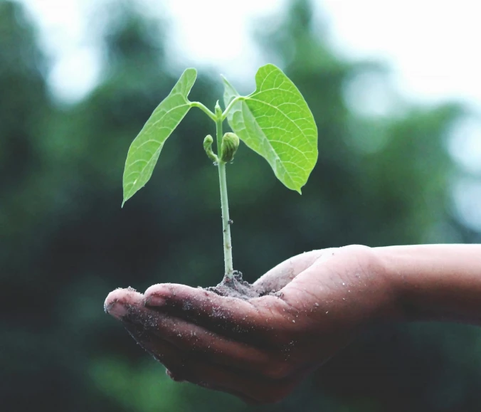Why invest in eco-friendly gadgets?