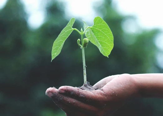 Ecological gadgets