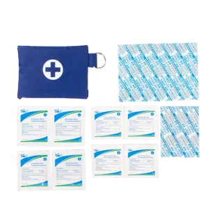Travel First Aid Kit Basic - Blue