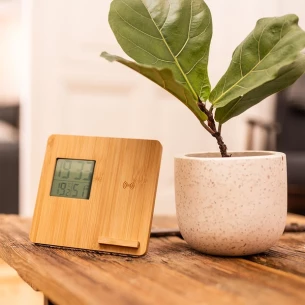 Weather station with charger Hixon - Beige