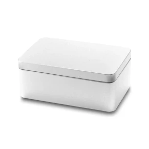Modiste sewing kit - Silver
