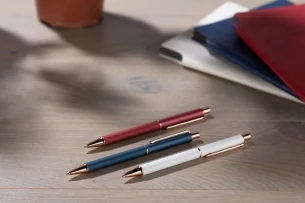 Ballpoint pen VERNO - burgundy