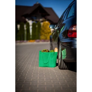Atlas Shopping Bag - Green