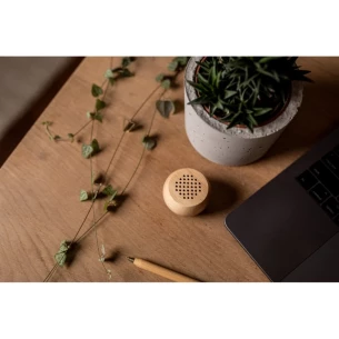Wooden wireless speaker 3W Mae -wood