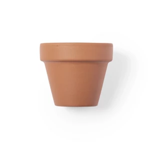 Flower pot, 5-8 petunia seeds and soil - neutral