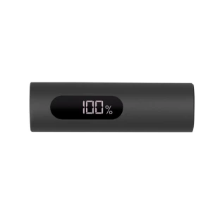 Power bank 10000 mAh Walt - graphite
