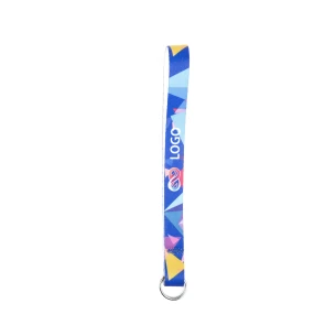 Loop lanyard key ring