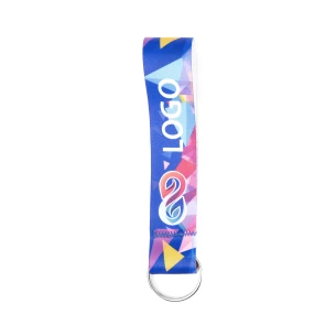 Loop lanyard key ring