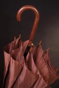 Fernando umbrella - Brown