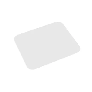 Iguana mouse pad